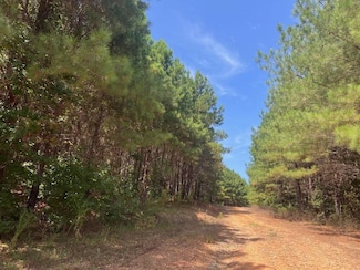 0 Charlie Reeves Rd Unit 24268557, Roberta, GA 31078