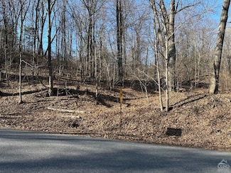 0 Buttermilk Falls Rd Unit 156376, Catskill, NY 12414