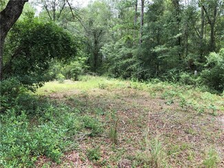 Lots 1, 2, 6, 7 Highway 32, Hortense, GA 31543