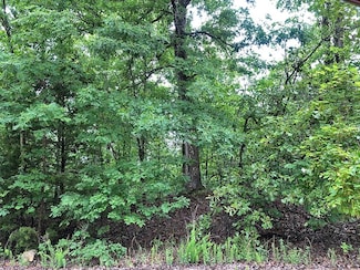 0 Buckboard Dr, Williford, AR 72482