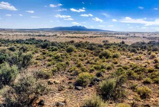 Lot 6 Fremont Drive Bald Eagle Subd, El Prado, NM 87529