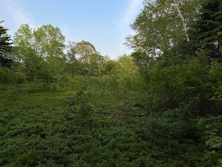 M6L54 Bristol Rd, Bristol, ME 04539