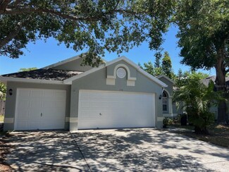 1788 Wood Haven St, Tarpon Springs, FL 34689
