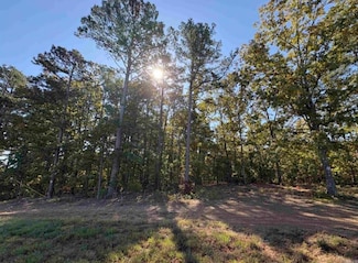 7330 Edgemont Rd, Higden, AR 72067