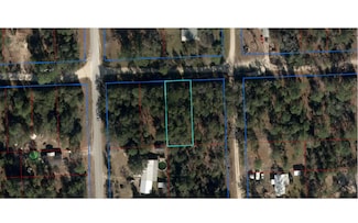 0 NE 67th St Unit 129216, Bronson, FL 32621