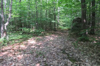 21 Barker Rd, Stoneham, ME 04231