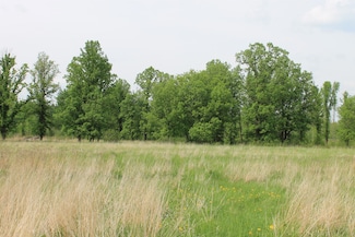 TBD Feeley 3, Feeley Township, MN 55793