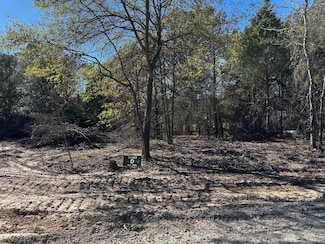 TRACT D  397 Private Road 8507, van, TX 75790