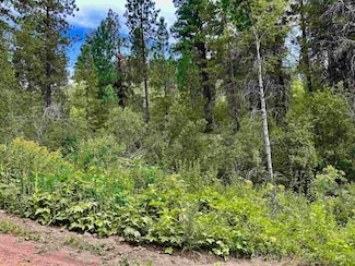 Lot 165b Johnson Creek Rd, Boise, ID 83716