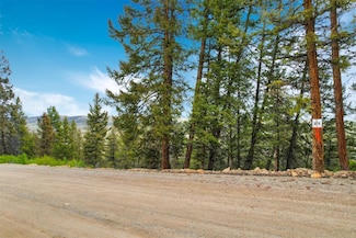 TBD Trout Creek Ln, Fairplay, CO 80440