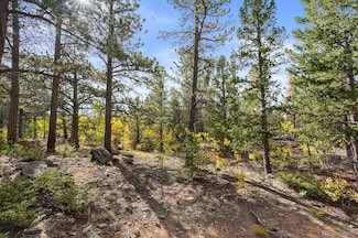 0 Pinon Cir, Black Hawk, CO 80422