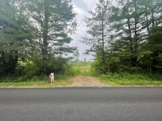 121.81 E 36th St, Newaygo, MI 49337