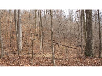 37121 Nalley Rd, Rinard Mills, OH 45734