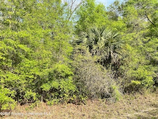 00 NW 74th Ct, Chiefland, FL 32626