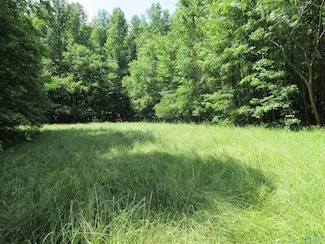 200 County Road 119, Woodville, AL 35776