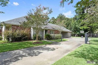 30105 Oak Shadow Dr, Walker, LA 70785
