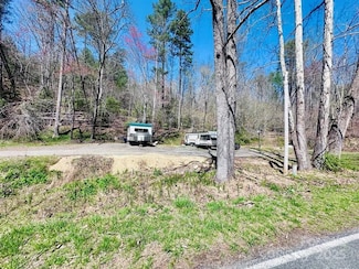 6176 Vein Mountain Rd, Nebo, NC 28761