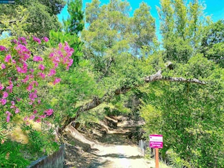 38 Oak Ridge Ln, Orinda, CA 94563