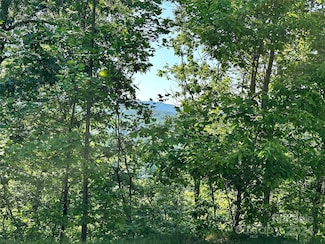 385 Wild River Run Unit 7, Marshall, NC 28753