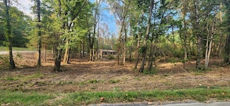 252 Beatrice Ct NE Unit 69, Ranger, GA 30734