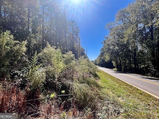 0 Parks Rd Unit 10629635, Forsyth, GA 31029