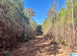 2094 County Road 79, Wadley, AL 36276