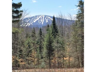 0 French Hollow Rd, Bondville, VT 05340