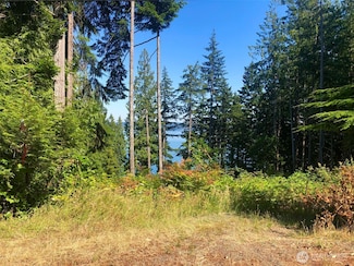 155 Tog Rd, Brinnon, WA 98320