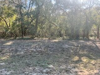 0230-0040 Indian Lakes Rd, Hawthorne, FL 32640