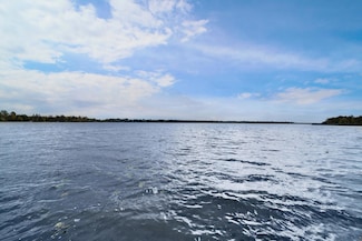 TBD 427th St, Fleming Township, MN 56431
