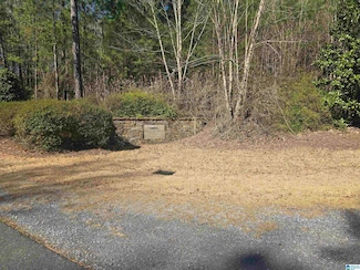Lot 29 Paint Creek Ln Unit lot 29, Weogufka, AL 35151