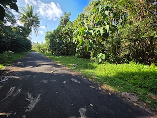 0 Palani St Unit 720042, Pahoa, HI 96778
