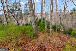 LOT 941 Myna Dr, Ellijay, GA 30540