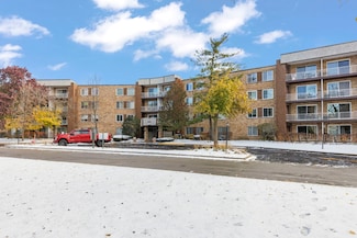 245 S Park Ln Unit 321, Palatine, IL 60074