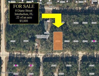 0 Diane St Unit 1261403, Interlachen, FL 32148