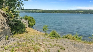 11 Red Cedar Falls Ln, Starkey, NY 14837