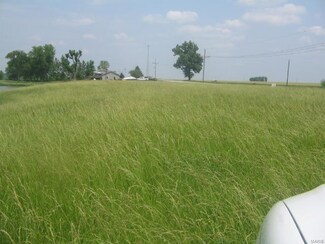 0 Kane Rd Unit 17067759, Medora, IL 62063