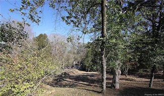 201 Burns Ln, Williamsburg, VA 23185