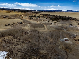 1555 Sheep Ridge Rd, Fairplay, CO 80440