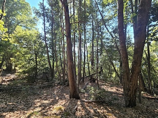 000 Panther Gap Rd, Honeydew, CA 95545