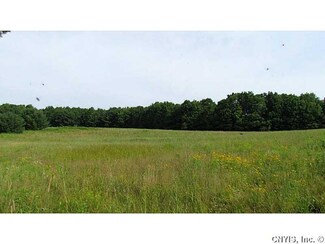 00 Tracy Rd, Coventry, NY 13730