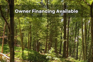 0 Island Ford Rd, Laurel Springs, NC 28644