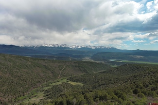 TBD Cr 4b, Ridgway, CO 81432