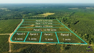 Parcel 3 Whipporwill Rd, Reynolds, GA 31076