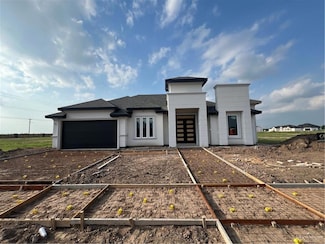 4513 E Rivers Cove St, Cesar Chavez, TX 78542