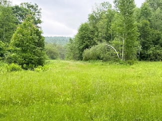 131 Eaton Grange Rd E, Warner, NH 03278