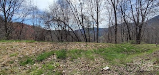 9999 Sunset Falls Dr, Clyde, NC 28721