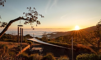 3810 Page Mill Rd, Los Altos Hills, CA 94022