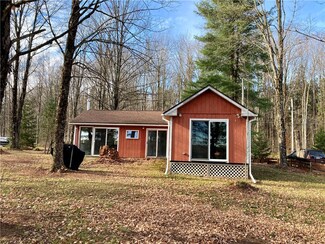 163 Cottage Ln, Norwich, NY 13815