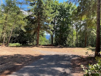 11573 Coyle Rd, Quilcene, WA 98376